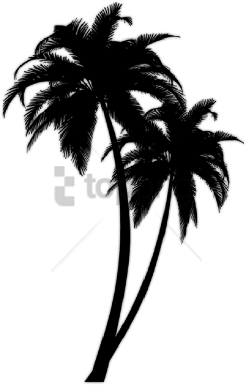 Download Free Png Black Palm Tree Png Image With Transparent - Black