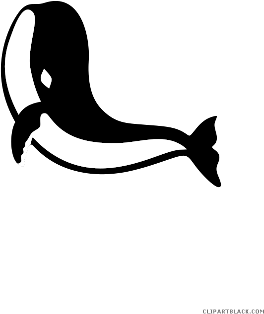 Black And White Shark Animal Free Black White Clipart - Paus Animasi - Png Download (637x900), Png Download