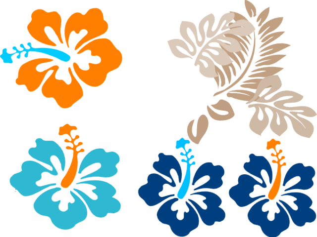 Hibiscus Clip Art - Png Download (640x480), Png Download
