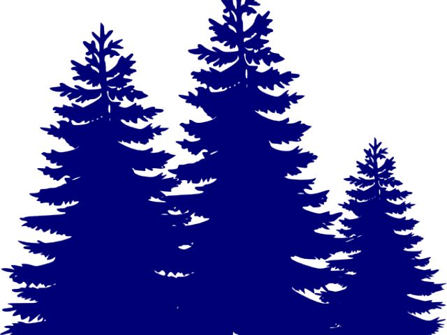Pine Tree Clipart Root - Png Download (640x480), Png Download