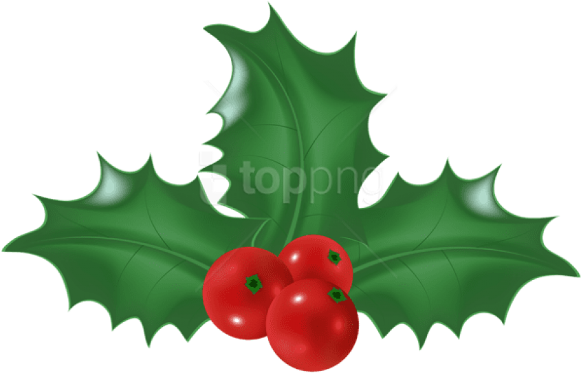 Free Png Holly Mistletoe Png - Illustration Clipart (850x549), Png Download