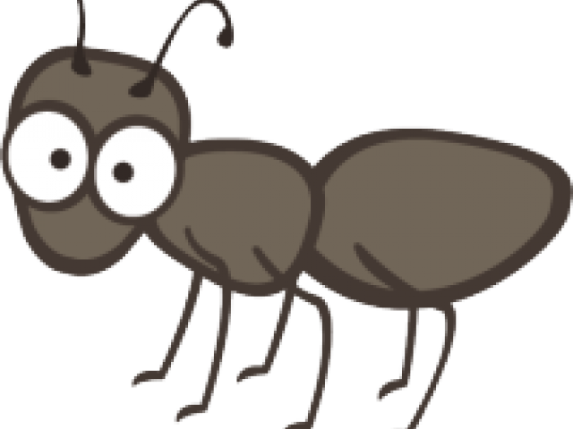 Ant Clipart Single - Transparent Background Ant Clipart - Png Download (640x480), Png Download