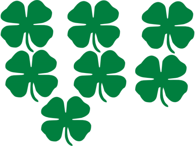 Shamrocks Clipart - Png Download (640x480), Png Download