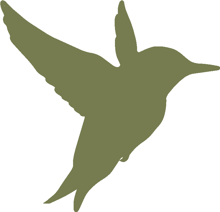 Your Energy Plus For Productive Seminars - Hummingbird Clipart (784x756), Png Download