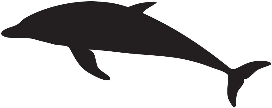 Shadow Clipart Dolphin - Transparent Background Dolphin Clipart - Png Download (900x361), Png Download