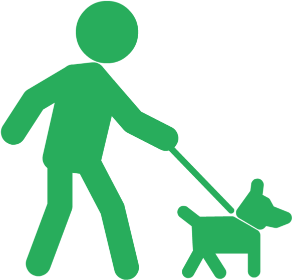 Gassi Gehen Clipart - Cartoon Dog On A Leash - Png Download (1000x563), Png Download