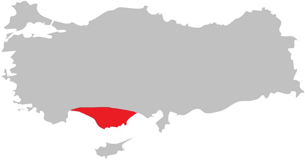 Distribution Of Hypericum Auriculatum - Kırmızı Et Üreticileri Birliği Clipart (1000x527), Png Download