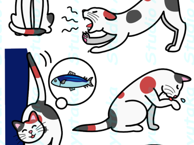 Cat Clipart Base - Png Download (640x480), Png Download