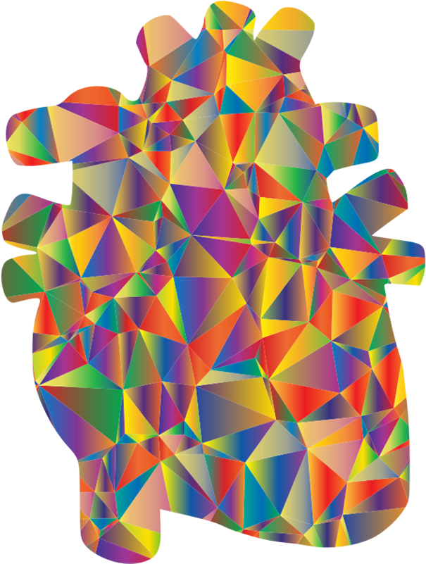 Anatomy Of The Heart Clipart - Corazón Geométrico - Png Download (800x800), Png Download