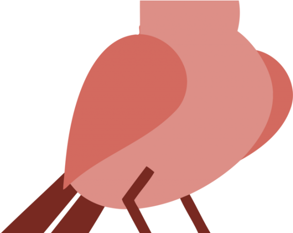 American Robin Clipart Eastern Bluebird - Png Download (640x480), Png Download