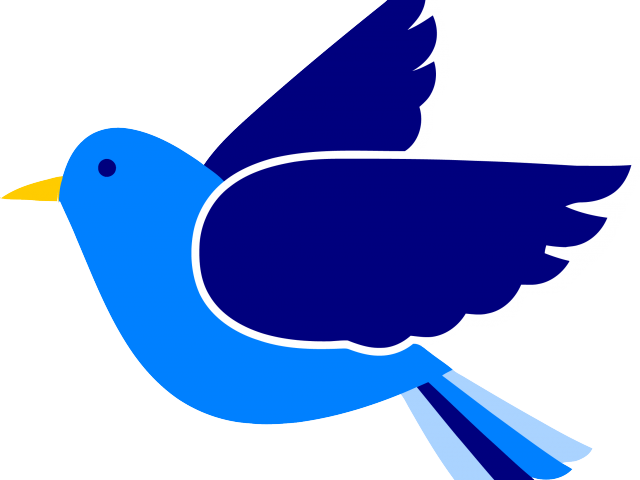 Bluebird Clipart Colourful Bird - Bird Beak Clipart Transparent Background - Png Download (640x480), Png Download