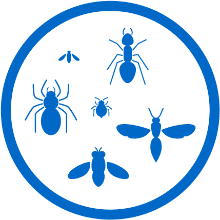 576 X 576 1 Clipart (576x576), Png Download