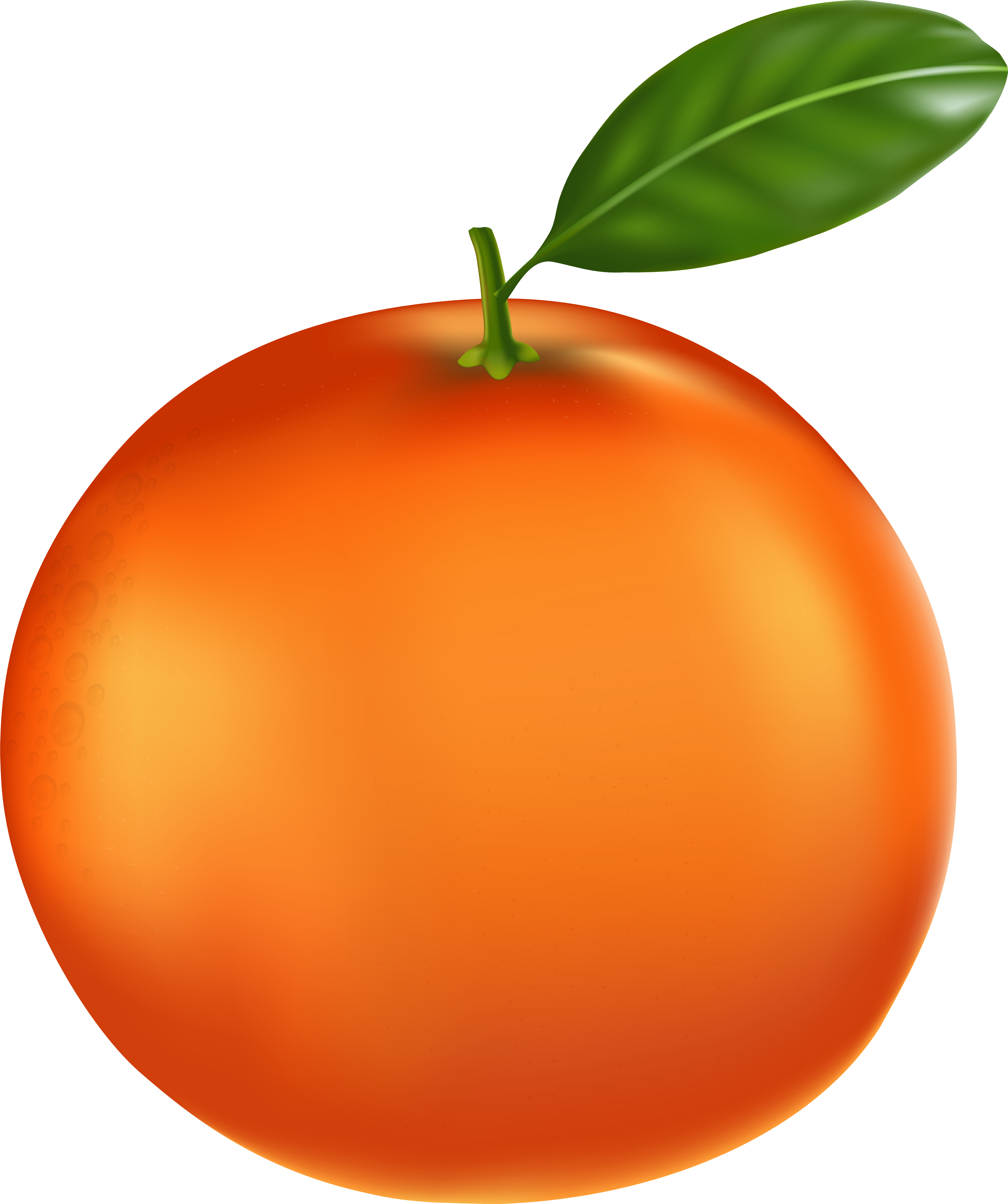 Png Clip Art Gallery Yopriceville High Quality Transparent Png (6696x8000), Png Download