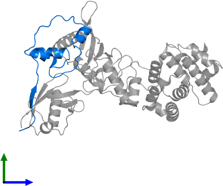 <div Class='caption-body'>pdb Entry 3uin Contains 1 Clipart (800x800), Png Download