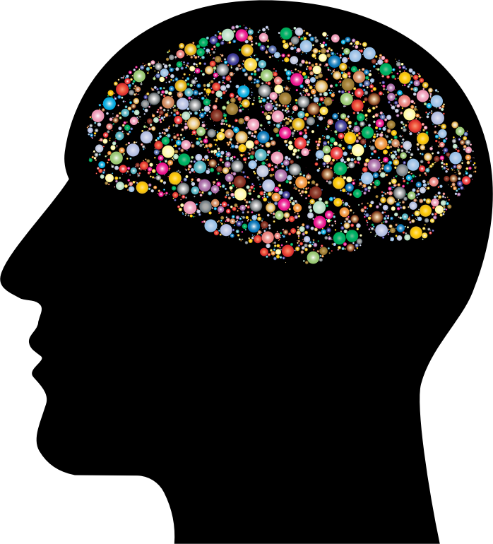 By Gdj Psychology Brain Clipart Full Size Clipart (40762) PinClipart