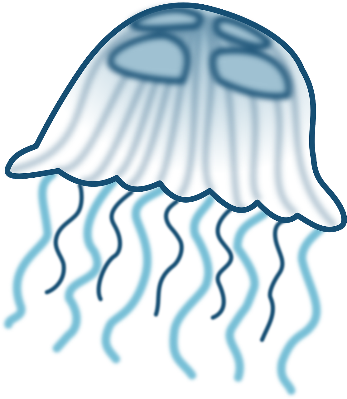 Sea Life Clipart Jellyfish - Clip Art Jellyfish - Png Download (696x800), Png Download