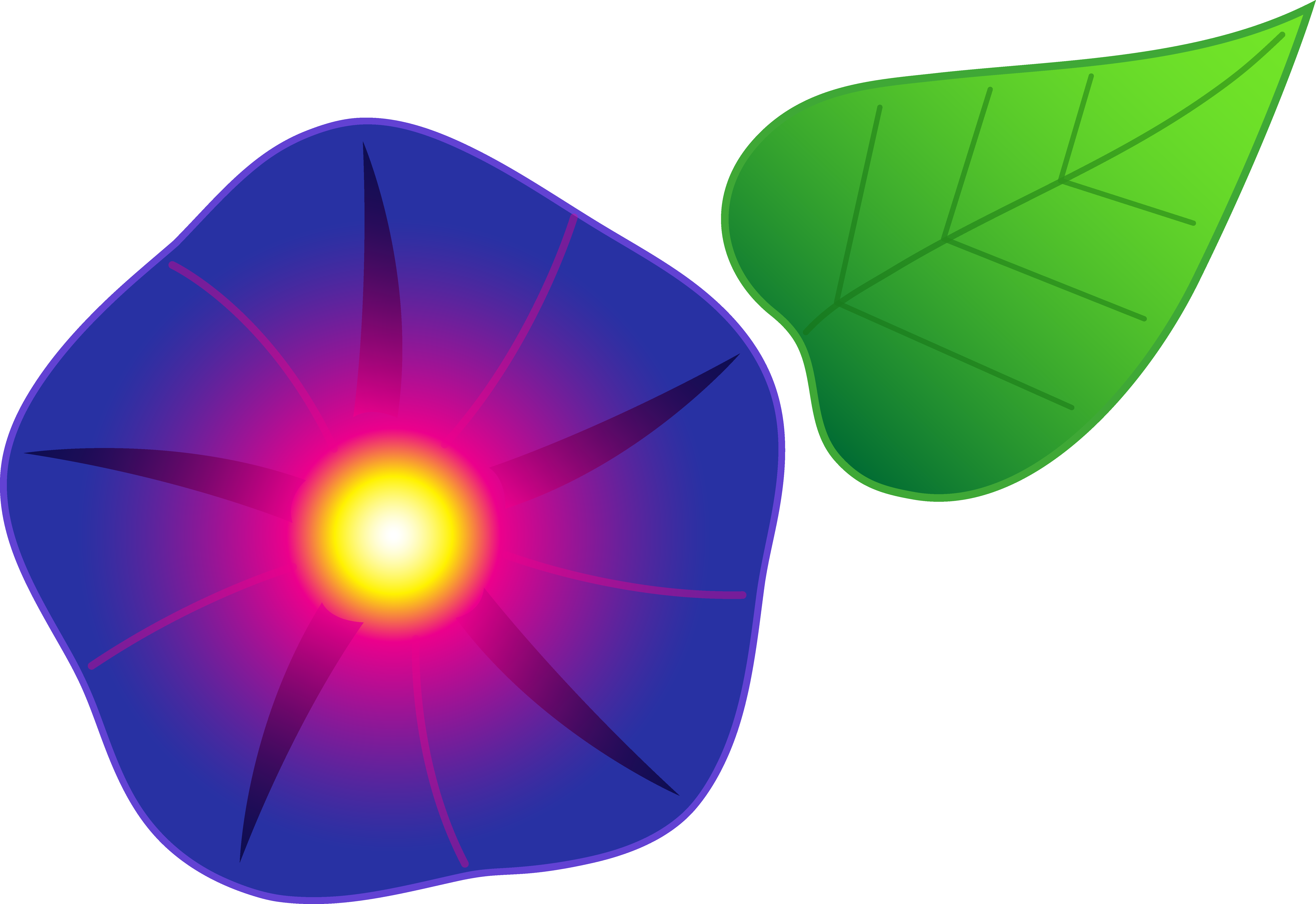 Morning Glory Flower - Morning Glory Cartoon Flower Clipart (7275x4994), Png Download