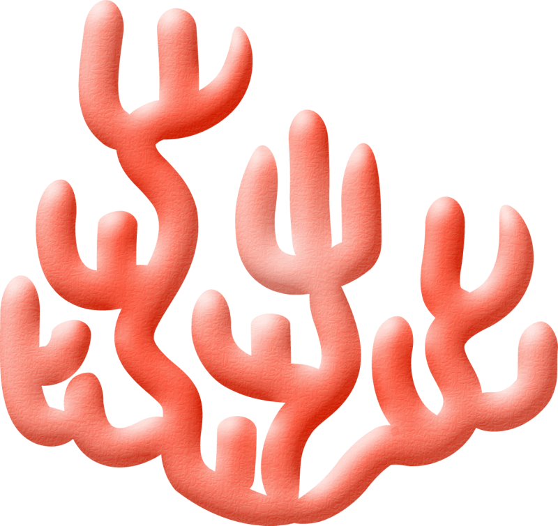 ○•‿✿⁀ocean Safari‿✿⁀•○ Beach Clipart, Ocean - Clip Art - Png Download (800x755), Png Download