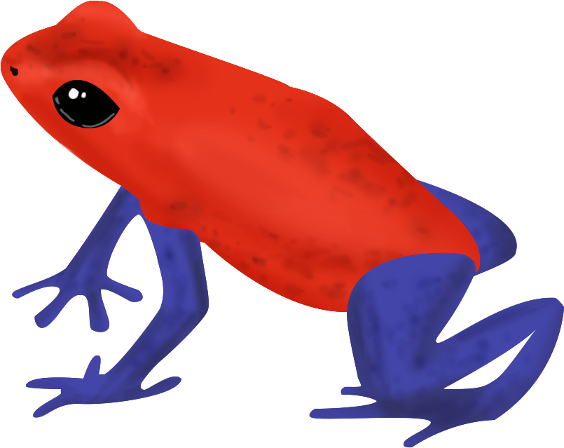 Grasshopper Frog-real Snake - Golden Poison Frog Clipart (1280x752), Png Download