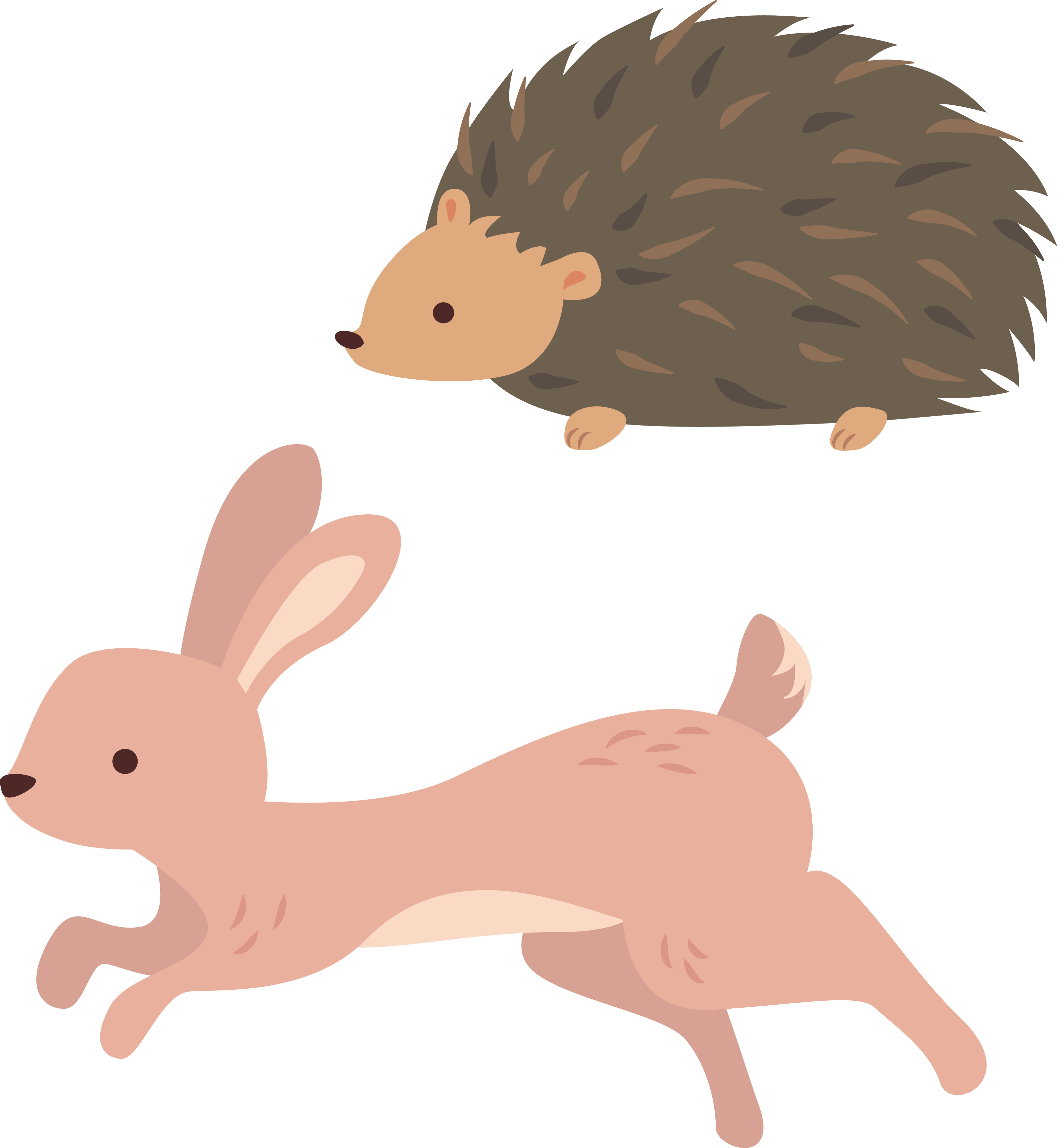 Domestic Hedgehog Clip Art - Erizo Y El Conejo - Png Download (3180x3453), Png Download