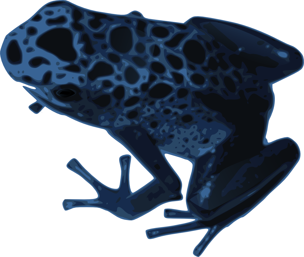 Amphibian Clip Art Download - Blue Poison Dart Frog - Png Download (800x676), Png Download