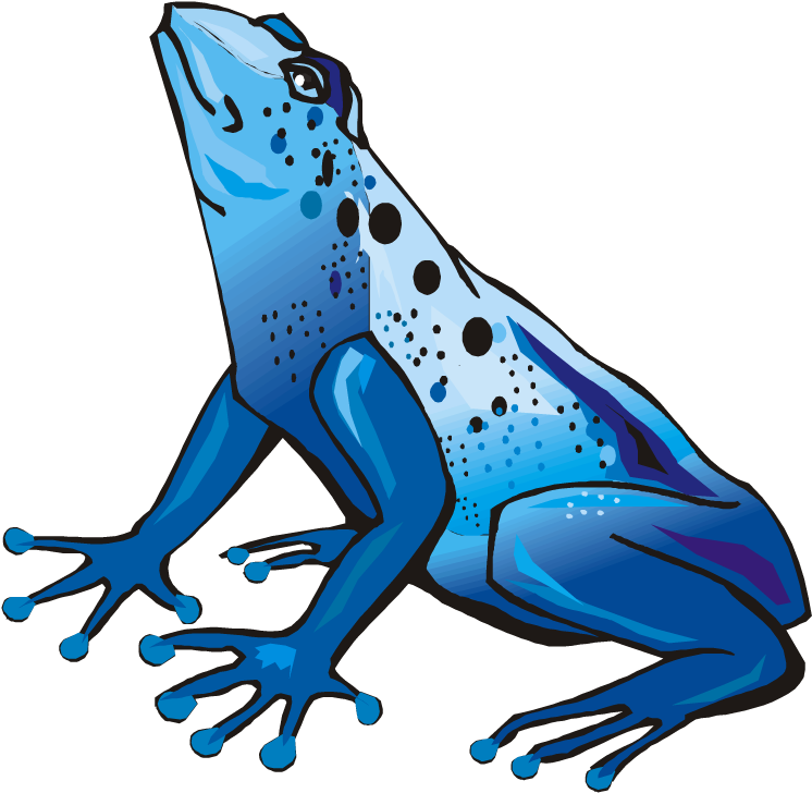 Frog - Poison Dart Frog Clipart - Png Download (750x734), Png Download
