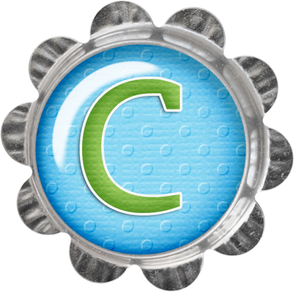 Pool Party Bundle Hawks, Gingham, Daughters, Paisley, - Party Clipart (580x576), Png Download