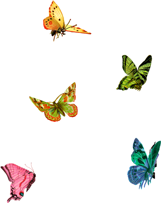 Paisley Designs - Little Butterflies Png Clipart (750x931), Png Download
