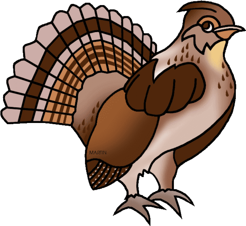 Pennsylvania State Bird Ruffed Grouse Clipart (648x644), Png Download
