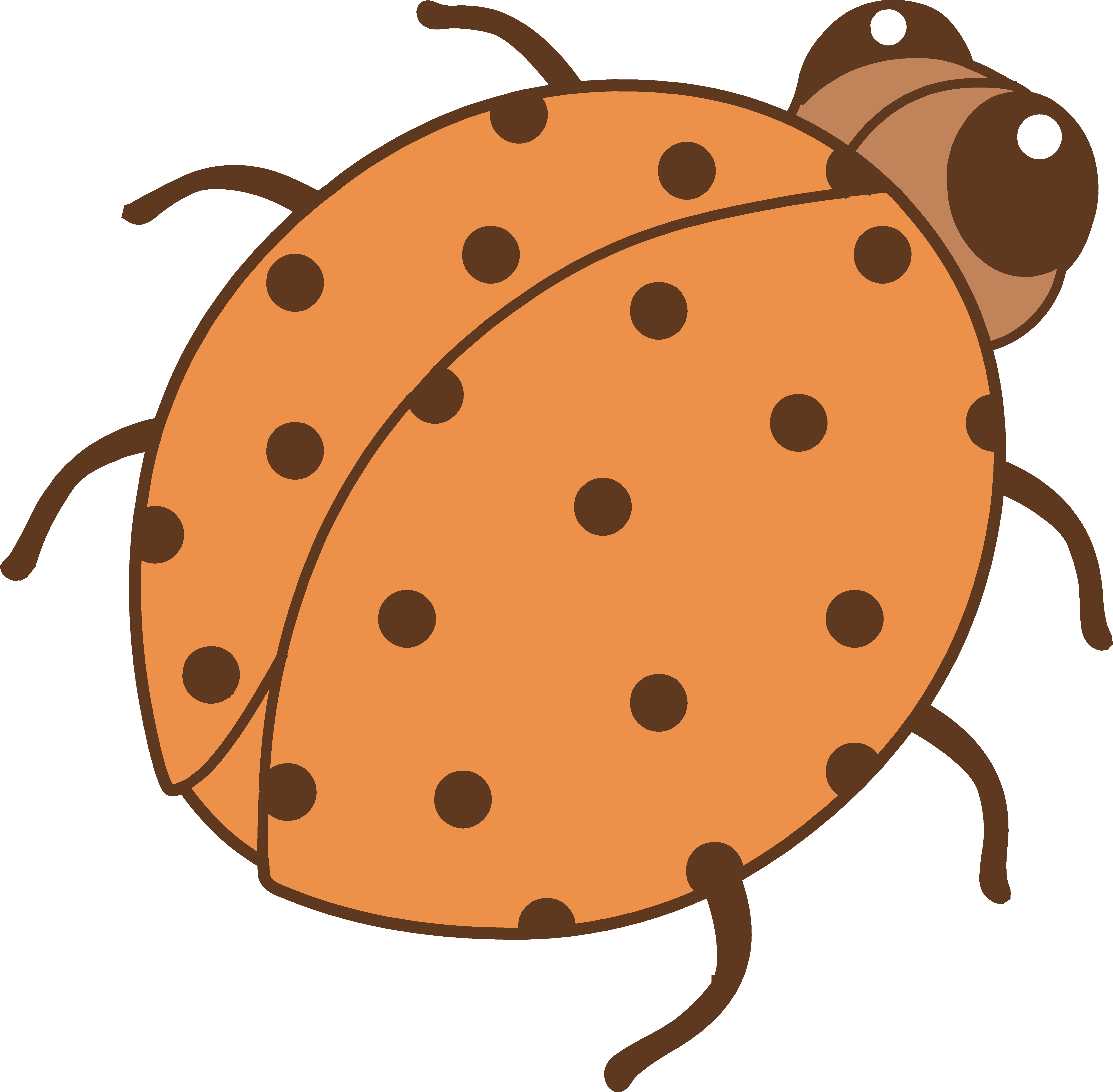 Cute Orange Ladybug Clip Art - Clip Art Color Orange Objects - Png Download (5364x5264), Png Download