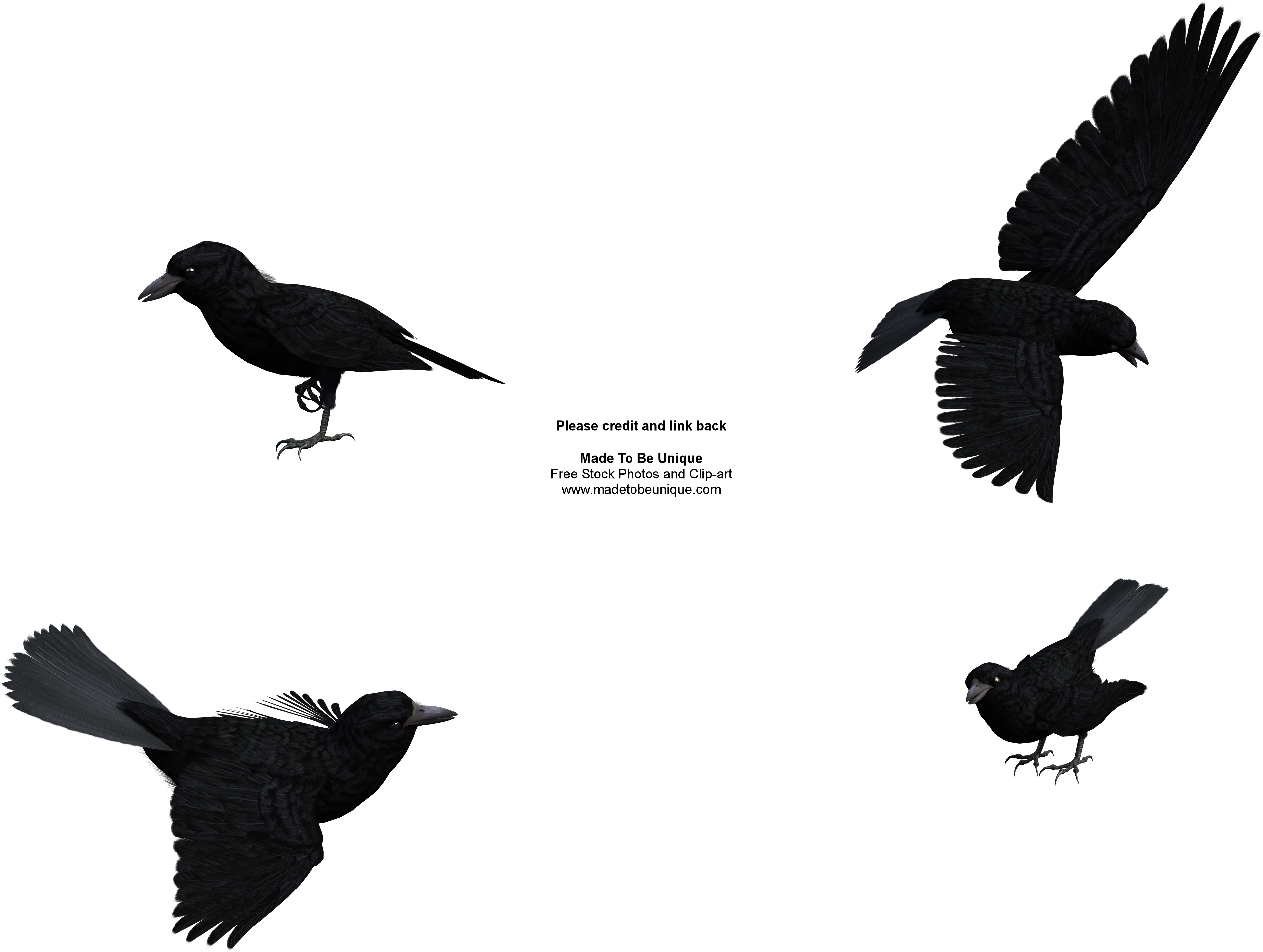 Raven - Clip Art - Png Download (4000x3200), Png Download