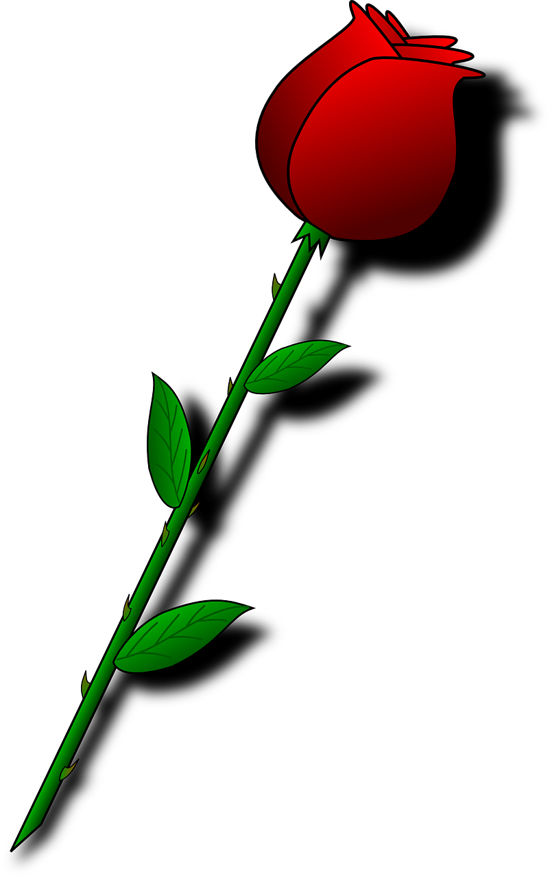 Valentine Flowers Clip Art - Valentines Day Roses Clipart - Png Download (555x898), Png Download