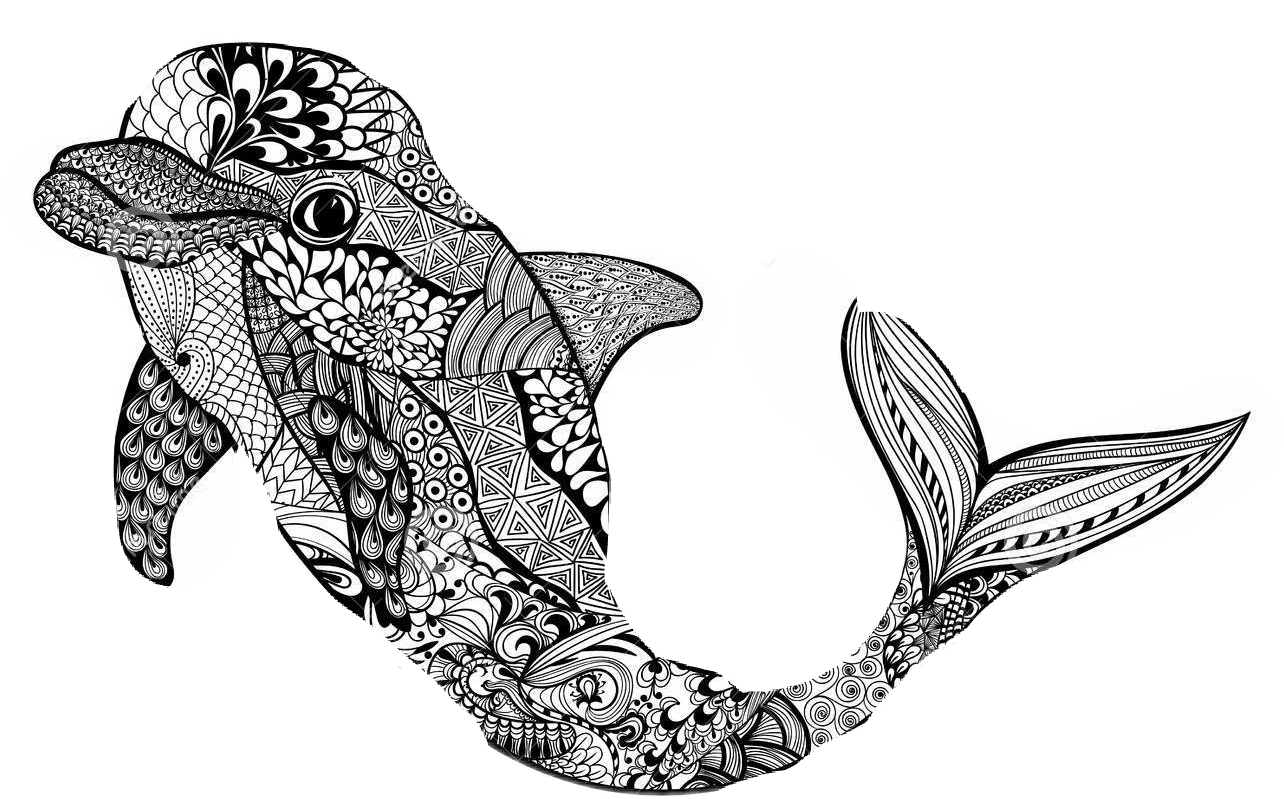 Report Abuse - Zentangle Dolphin Clipart (1284x799), Png Download