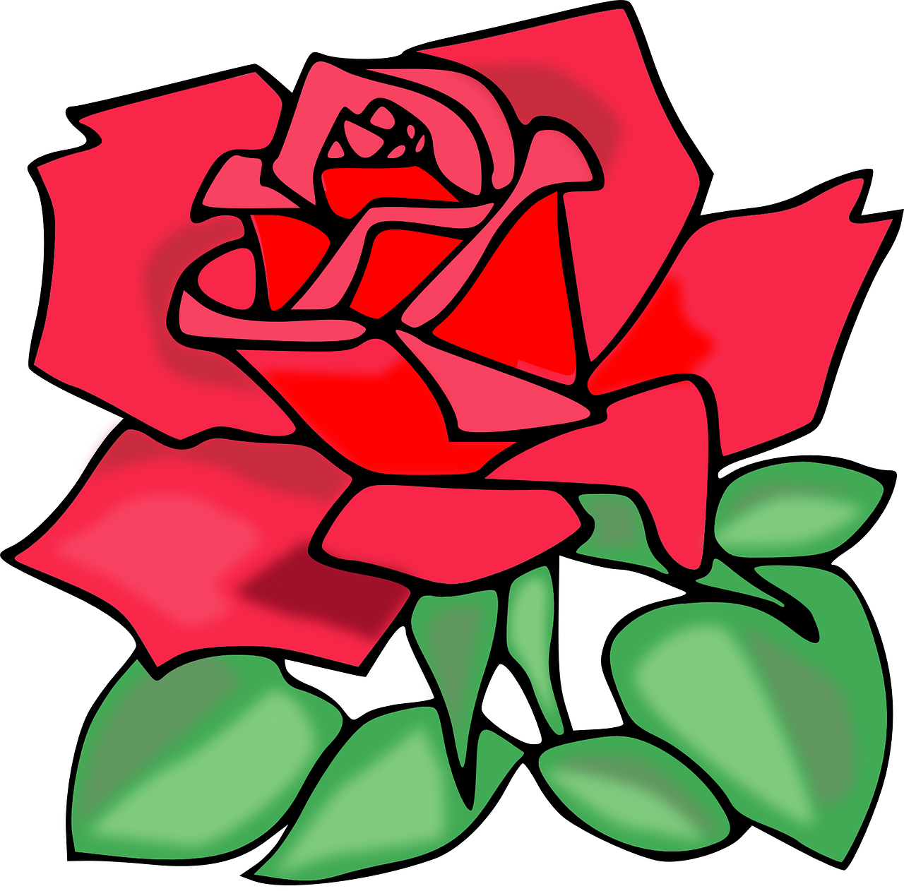 Rose - Clip - Art - Rose Transparent Clip Art - Png Download (600x592), Png Download