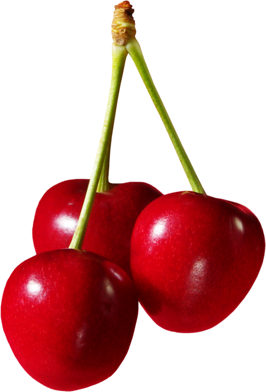 Cherry Fruit Png Clipart (480x705), Png Download