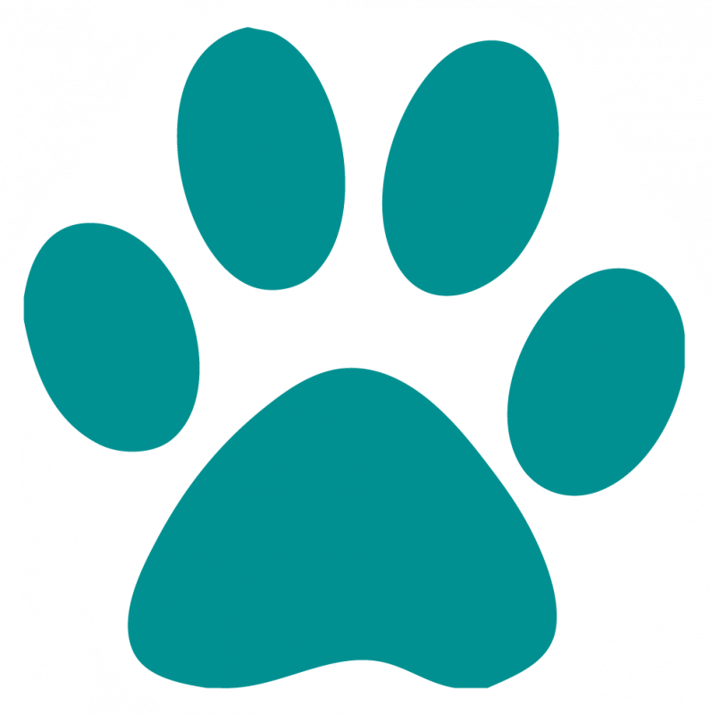 Cat Paw Print Clip Art - Colorful Paw Print Clipart - Png Download (797x800), Png Download