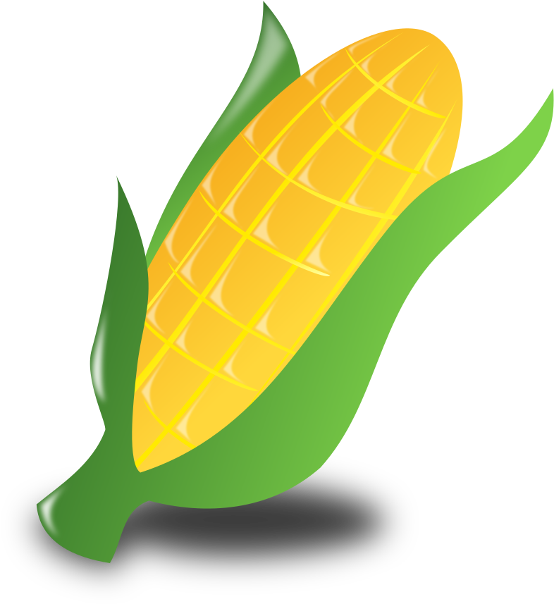 Corn Clipart - Png Download (658x720), Png Download