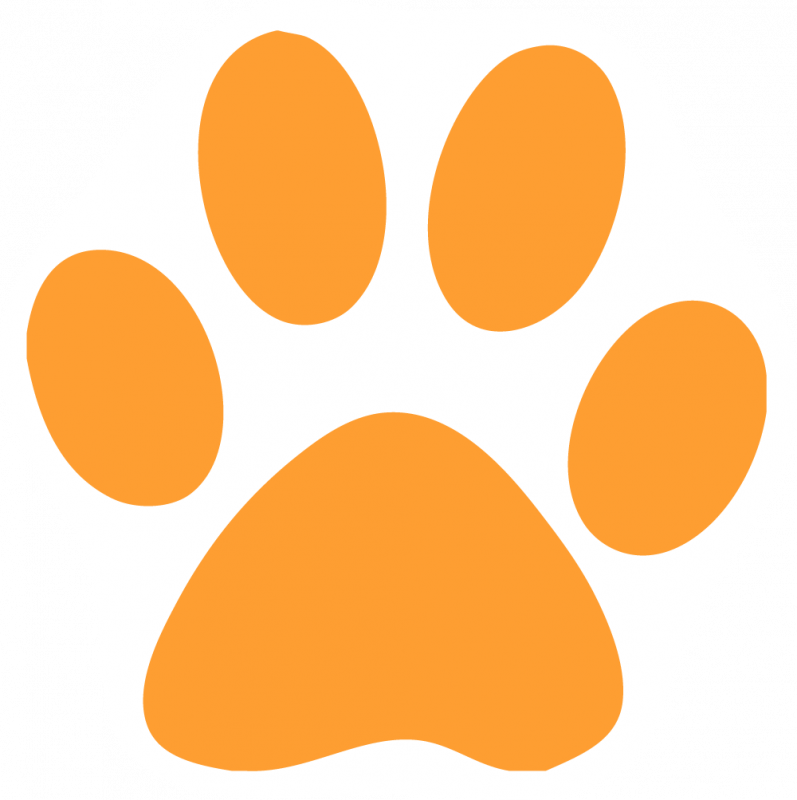 Purple Cat Paw Print Clipart Cat Dog Puppy - Purple - Png Download (797x800), Png Download