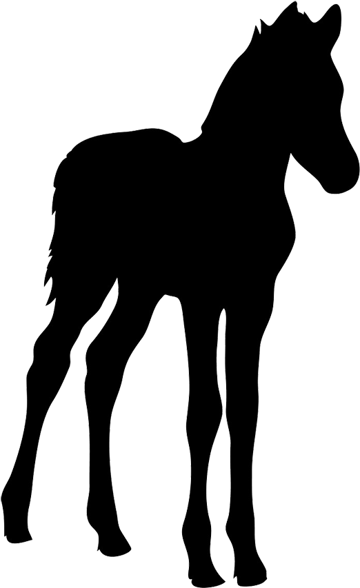 Horse Silhouette - Baby Horse Silhouette Clipart (567x886), Png Download
