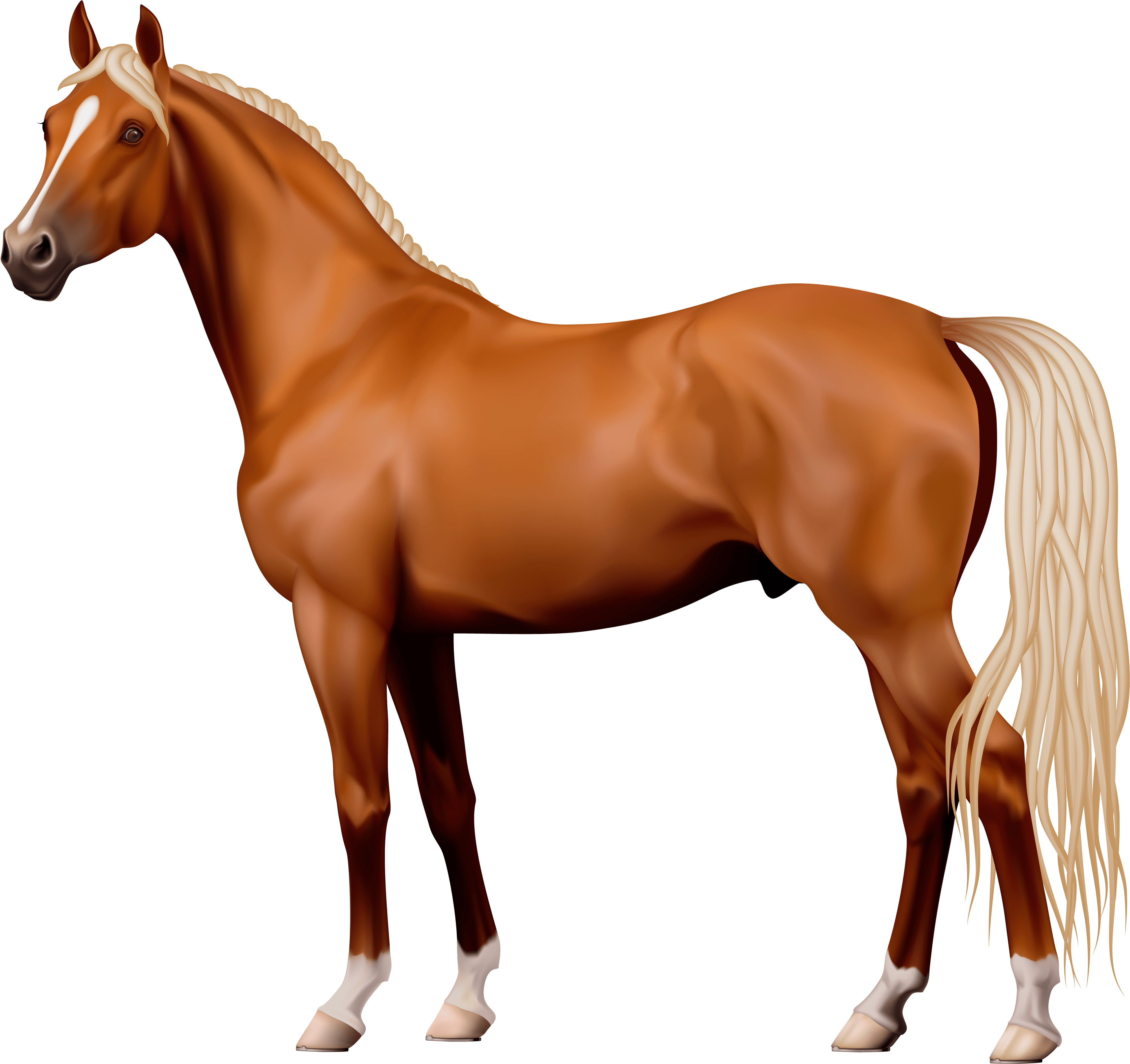 Download Horse Clipart 7 Clip Art - Horse Png Transparent Png (#48602