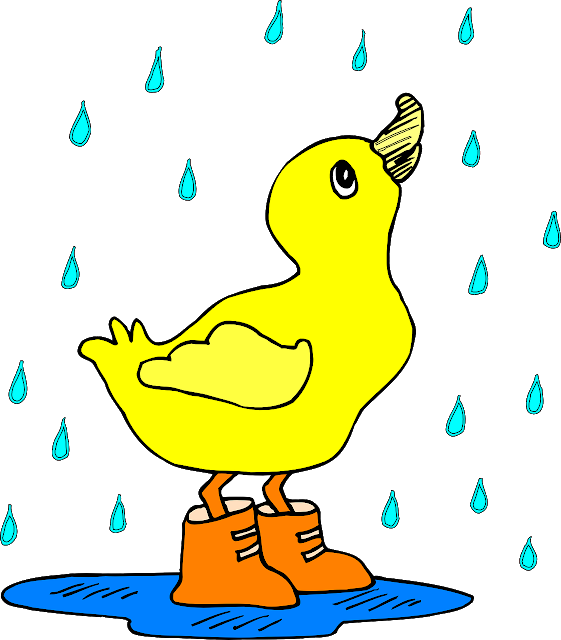 Sad Duck Cliparts - Cartoon Duck In The Rain - Png Download (522x595), Png Download