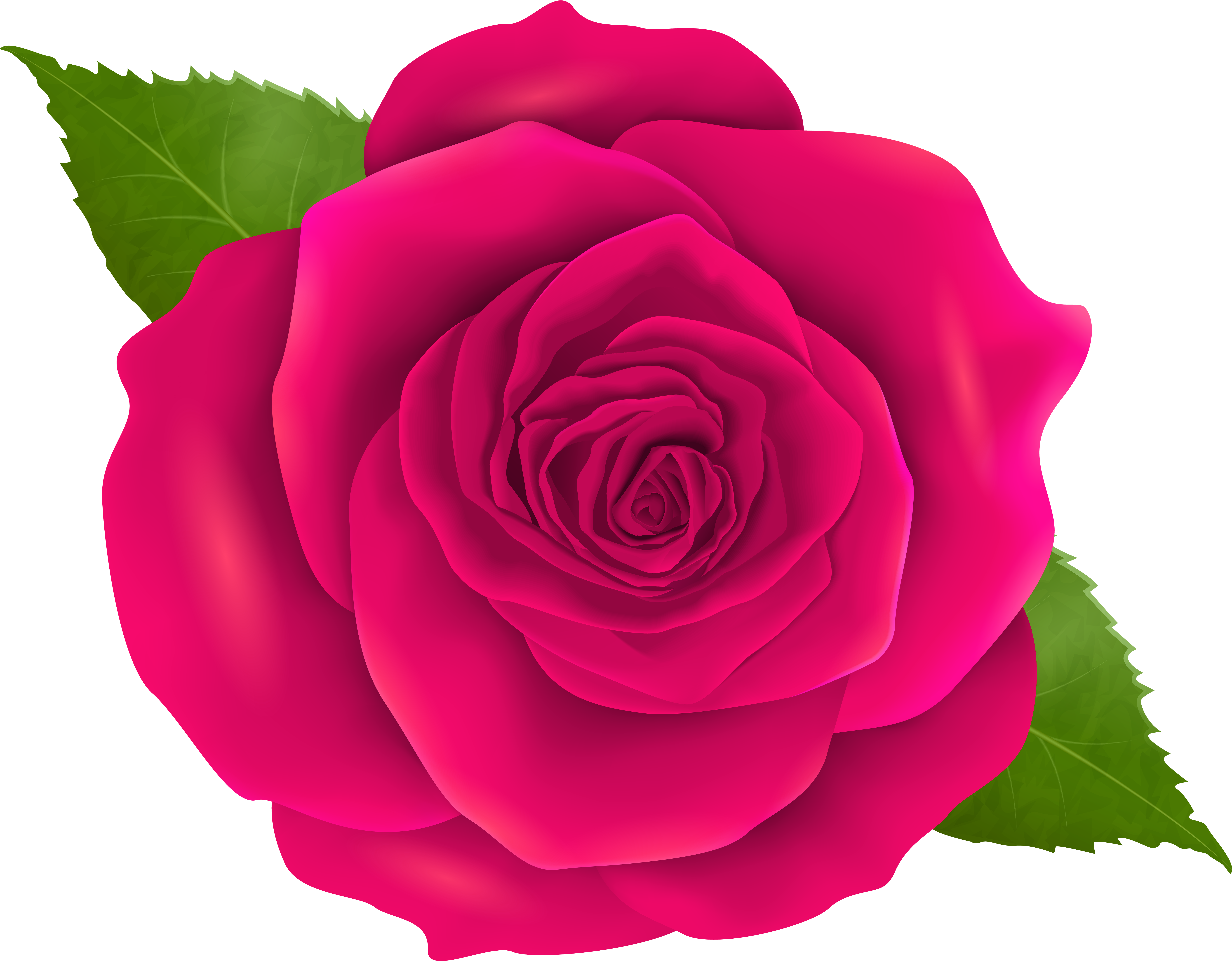 Rosa Clipart - Png Download (8000x6261), Png Download