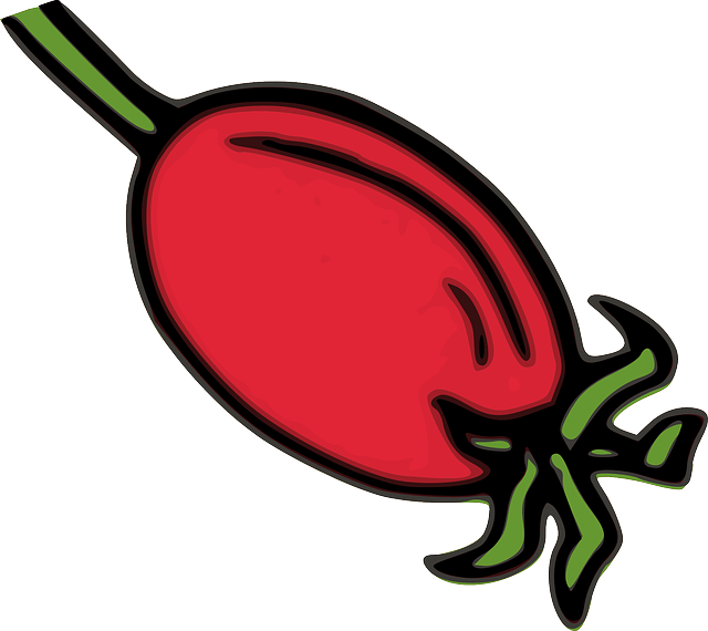 Rose Hips Clip Art - Png Download (600x534), Png Download