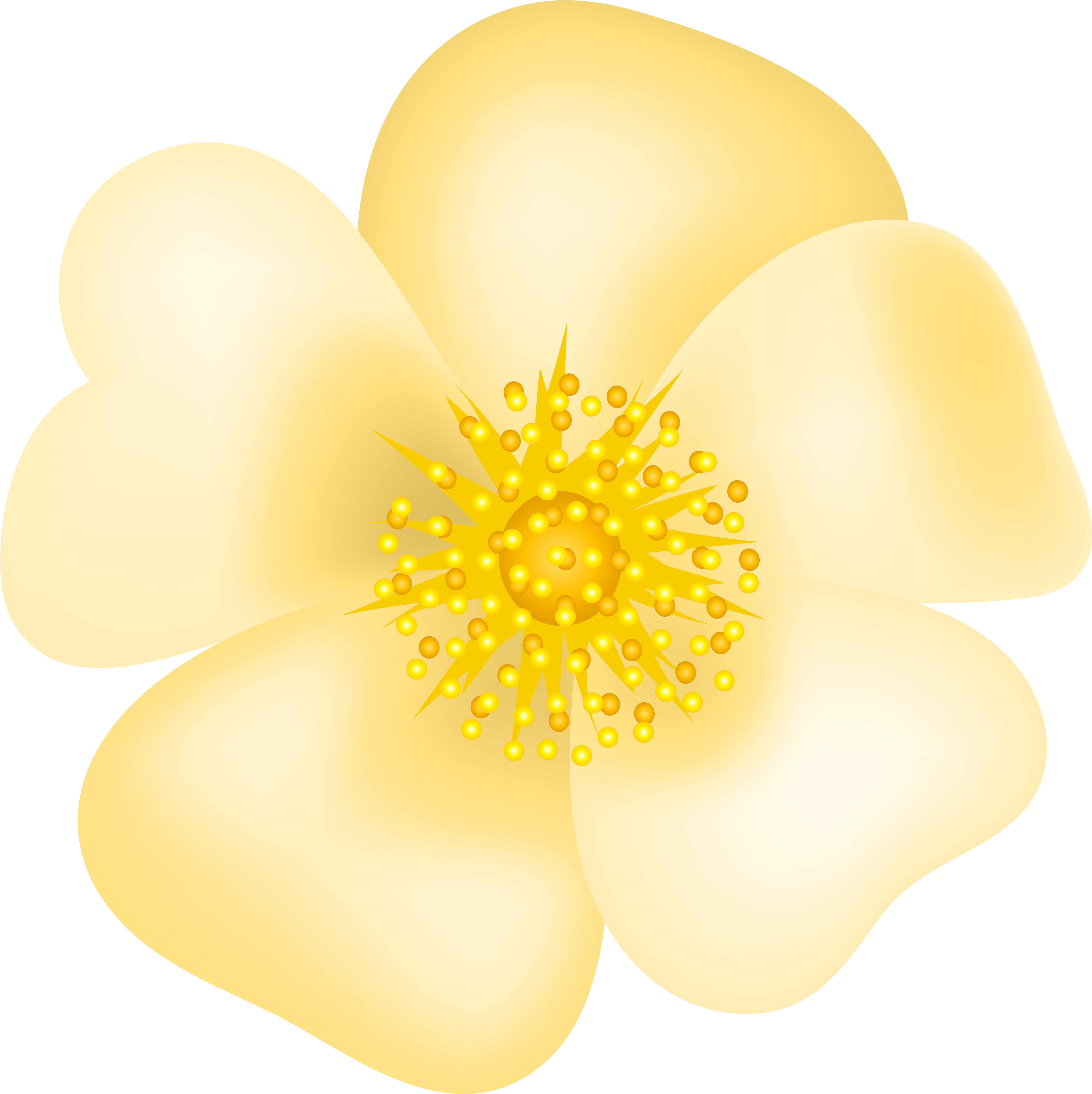 Buttercup Clipart Full Size Clipart 49317 Pinclipart