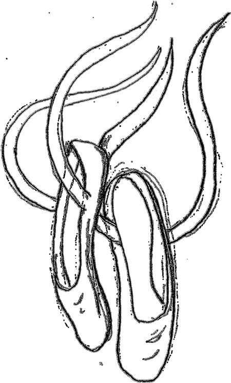 A Perfect World - Ballet Shoes Line Art Clipart (462x750), Png Download