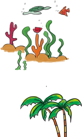 Sea Grass Clipart Sea Creature - Plants - Png Download (640x480), Png Download