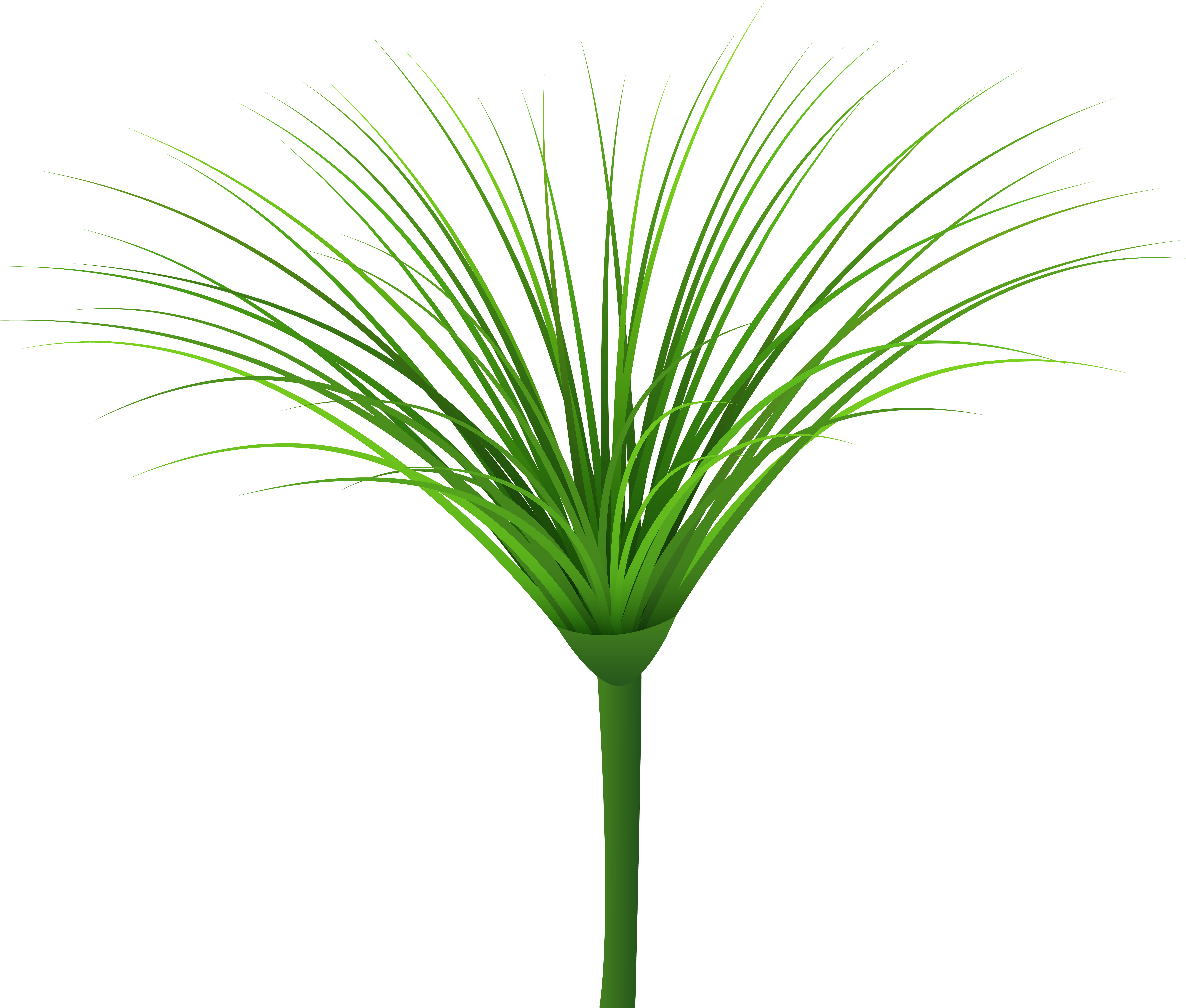 Free Grass Clipart - Png Download (8000x6666), Png Download