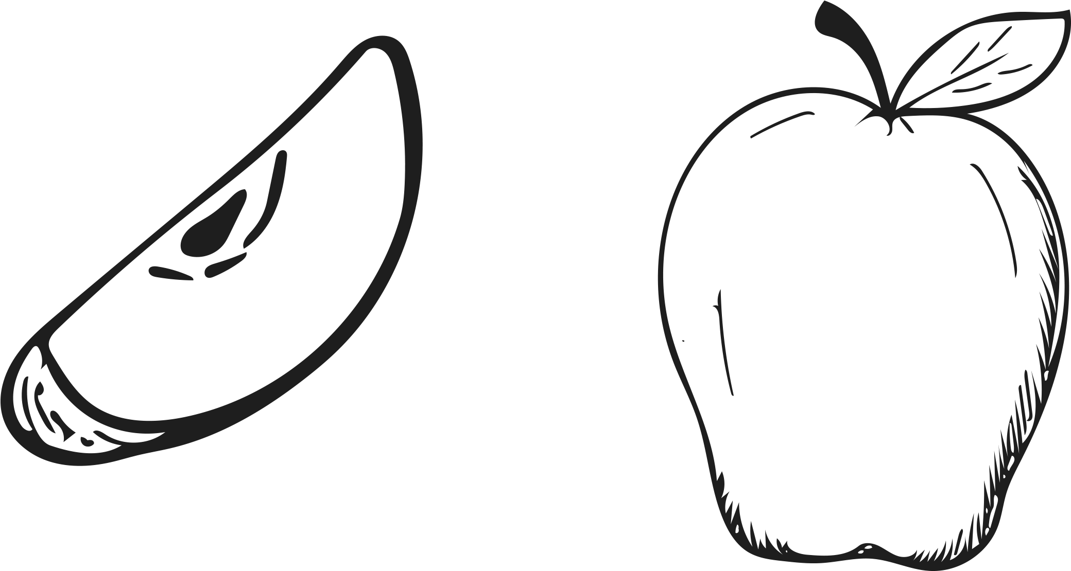 Ranunculus Drawing Hand Drawn Clip Art Freeuse Library - Hand Drawn Apple Png Transparent Png (2311x1324), Png Download