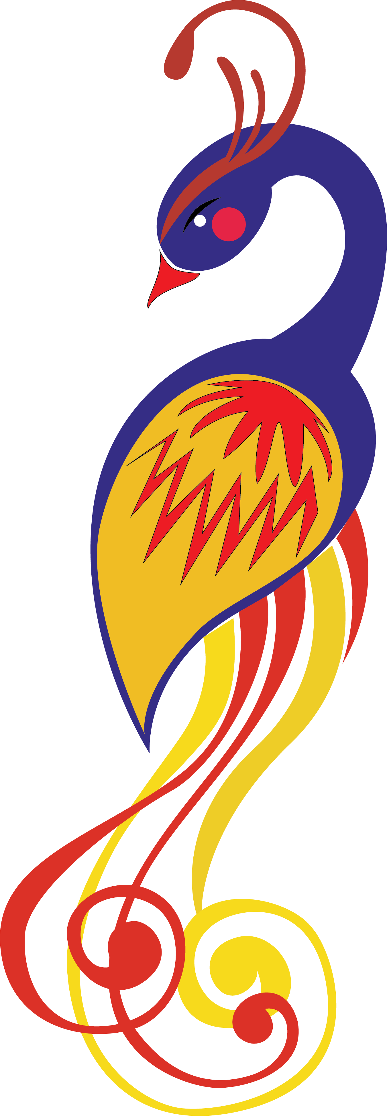 Download - Peafowl Clipart (1351x3896), Png Download