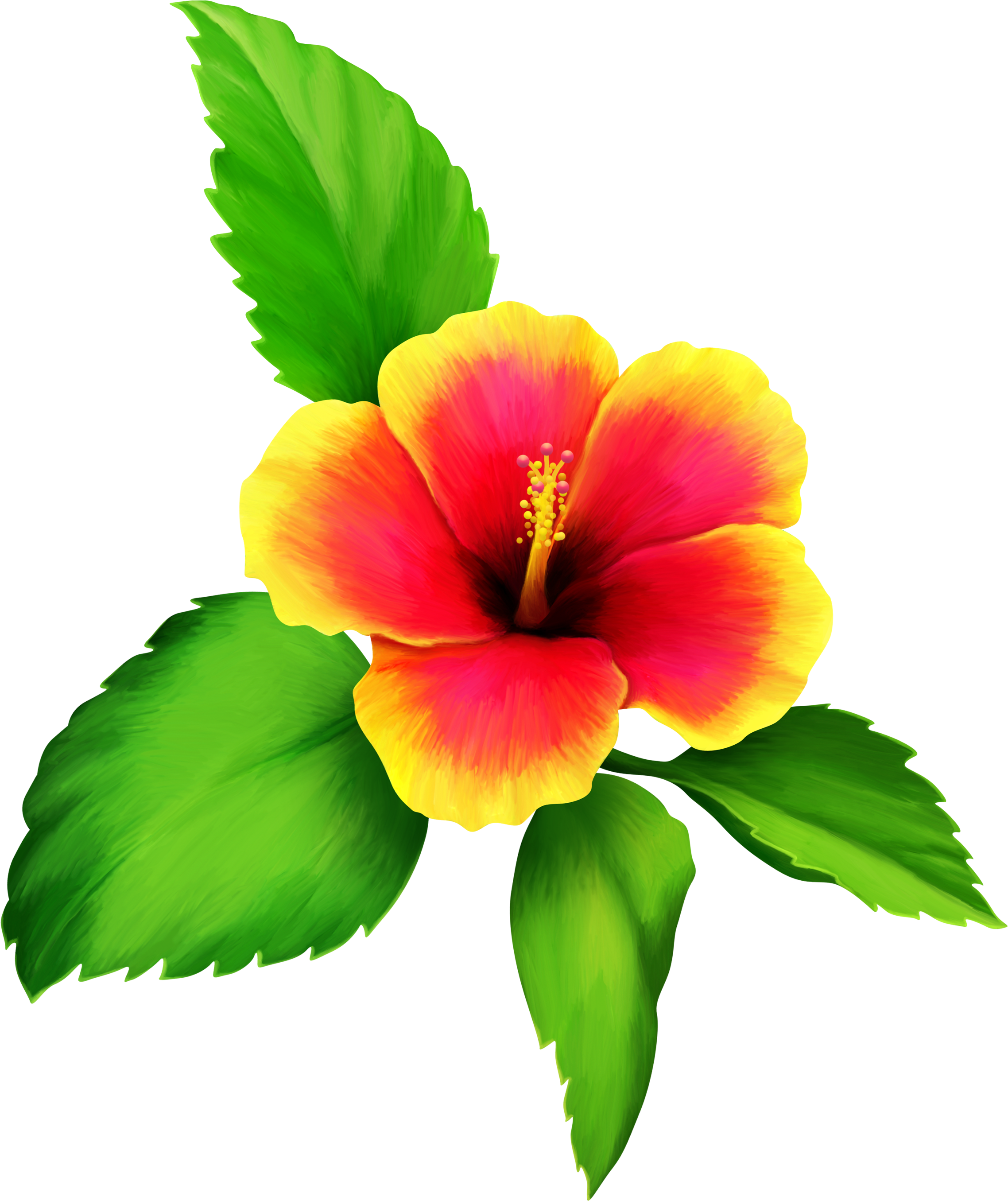 0 12cae1 5eaed5dc Orig Tahiti, Photoshop, Clip Art, - Png Download (2359x2800), Png Download